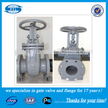 Cast Iron Russian Standard Gate Valve for Water Used